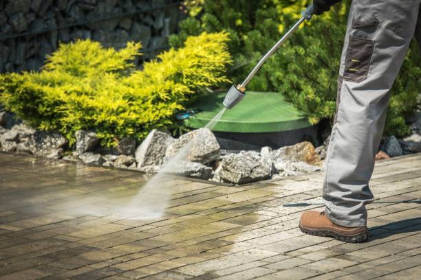 Best Animal Enclosure Cleaning  in Winthrop, IA